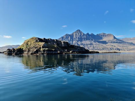 Exploring Djúpivogur - Nature and wildlife