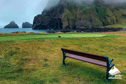 Vestmannaeyjar Day Tour — photo 6