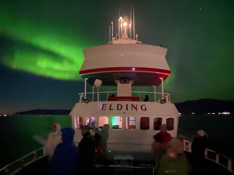Reykjavík Northern Lights & City Cruise — photo 17