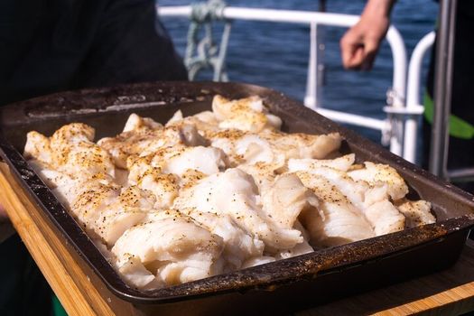 Reykjavik's Finest Catch: Guided Sea Angling Tour for All Levels — photo 15