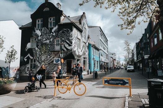 Private Reykjavik Walking Tour - 3 hours — photo 4