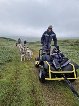 Siberian Husky dry land Dog sledding — photo 9