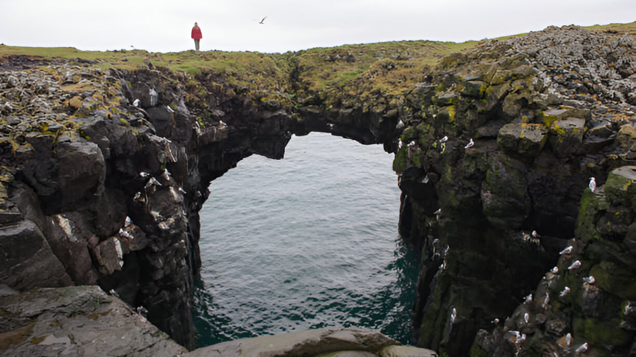 Snaefellsnes Peninsula Adventure: Small Group from Reykjavik, photo 12 of 18