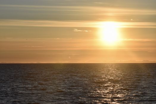 Reykjavík Classic Whales in the Midnight Sun — photo 21