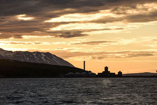 Akureyri Express Whales in the Midnight Sun — photo 10
