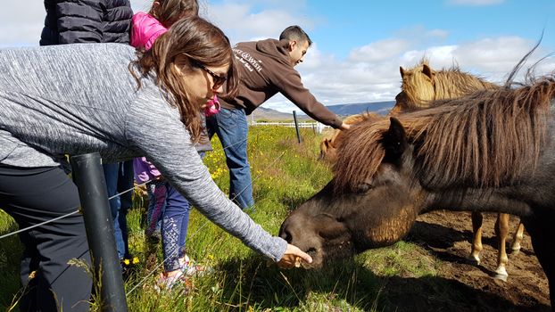 A Magical Day in Iceland - a private custom made tour - Up to 9 passengers — photo 2