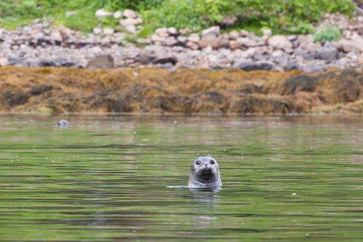 Glacier Fjords Kayaking — photo 4