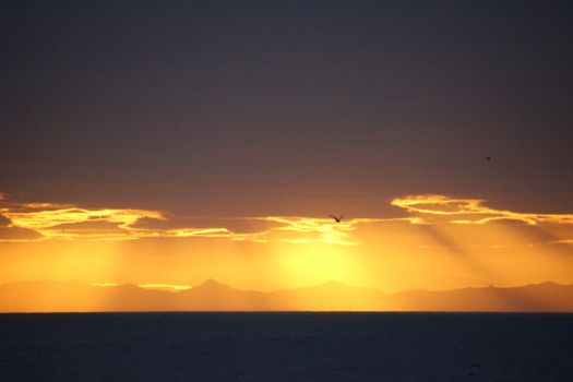 Midnight Sun Tour