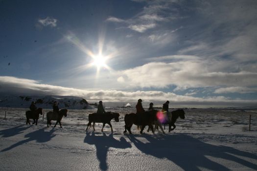 04D - Riding and Gullfoss, Geysir & Þingvellir — photo 2
