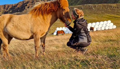 Private Farm Visit & Silver Circle Day Tour in West Iceland