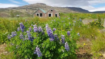 The Ultimate 2-in-1 Iceland Experience: Golden Circle & South Coast — photo 4