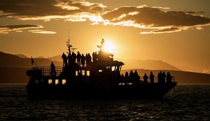 Akureyri Classic Whales in the Midnight Sun