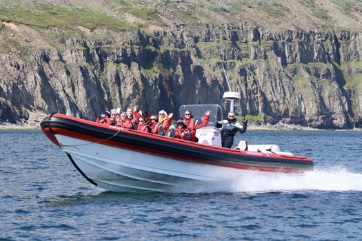Express Whale Watching From Dalvík — photo 10
