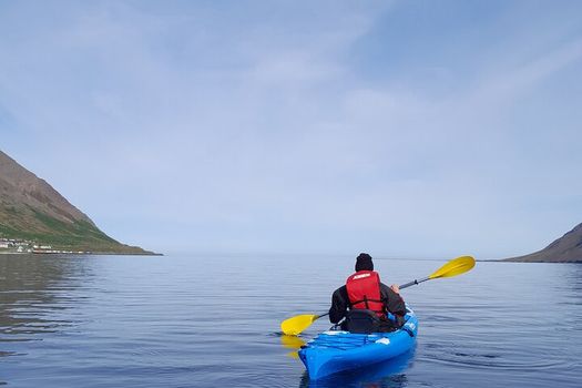 Guided kayak tour in Siglufjörður / Siglufjordur. — photo 3