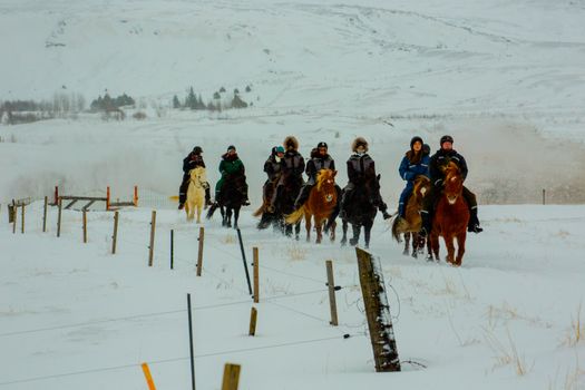 02C - Specialty of the Season — photo 4