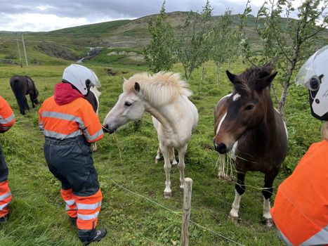 Midnight Sun - Viking way ATV Adventure with transfer from Reykjavik — photo 16