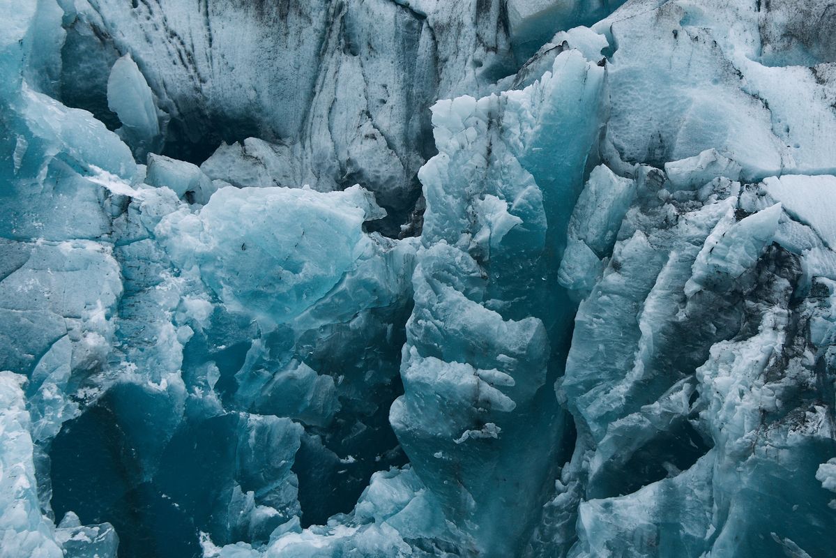 Zodiac Tour - Glacier Lagoon, photo 2 of 5