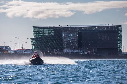 Reykjavík Premium Whale Watching — photo 10