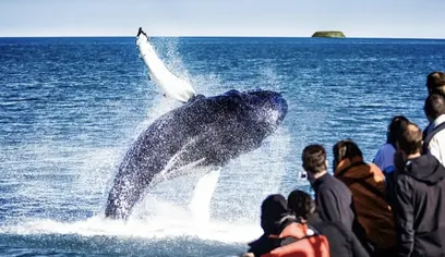 Private Nature Lovers Tour from Akureyri