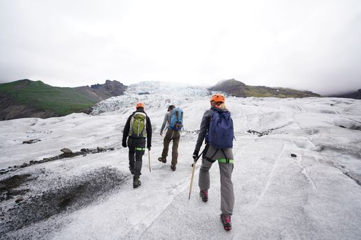 Glacier Encounter — photo 5