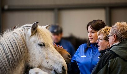 Stable Visit