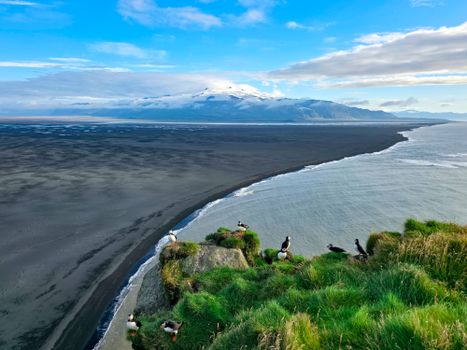 Ingólfshöfði Puffin Tour — photo 24