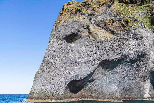 Vestmannaeyjar Day Tour — photo 3
