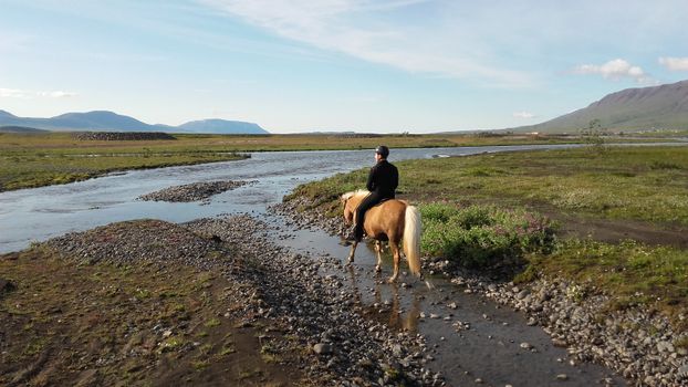 River Delta — photo 13