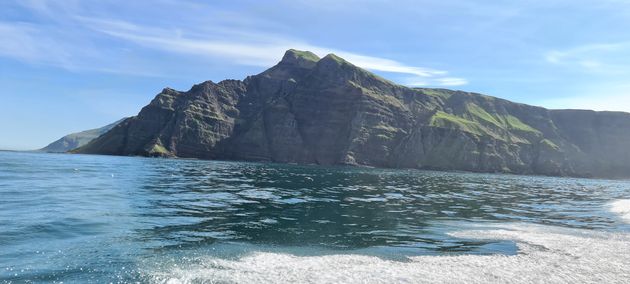 Puffin Quest — photo 20