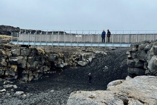 Reykjanes Peninsula Private Tour — photo 3