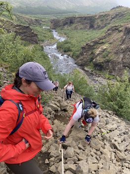 Glymur Waterfall Expedition: Conquer Iceland's Second Tallest Waterfall on a Thrilling Hike — photo 11