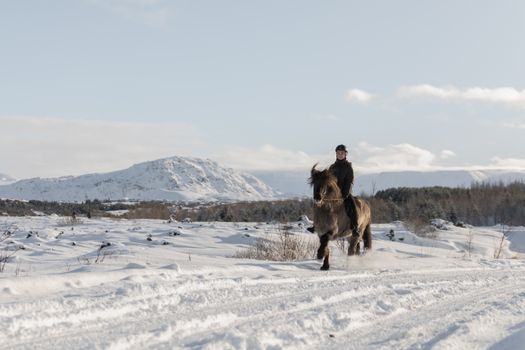 Private Horseback Riding Tour