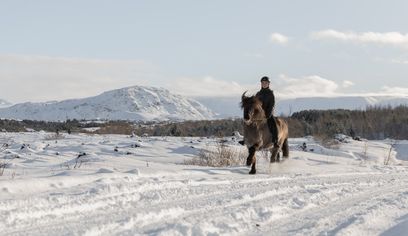 Private Horseback Riding Tour