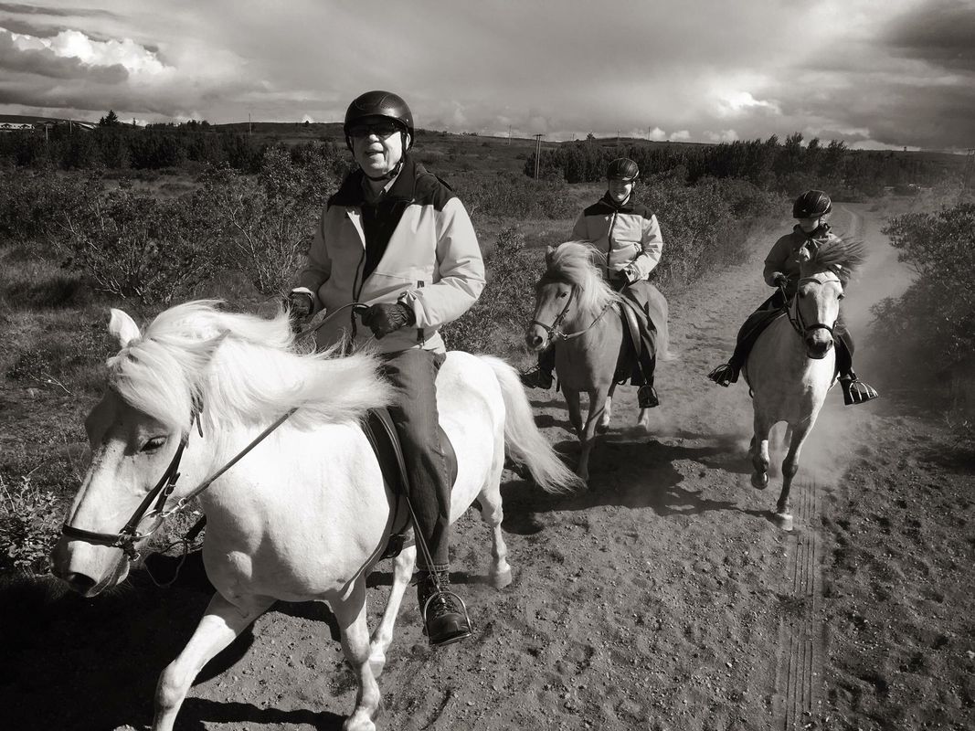 Viking Horses Mjölnir Afternoon Tour, photo 13 of 18