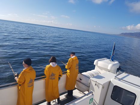 Sea Angling — photo 12