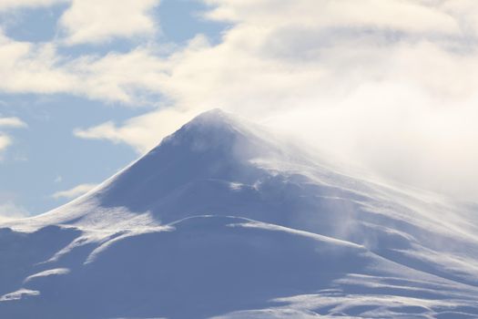 Akureyri Express Whales & Eyjafjord — photo 17