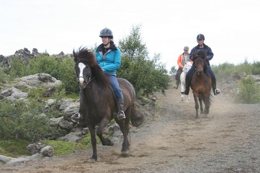 Viking Tour - For experienced riders — photo 3
