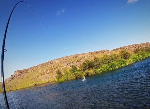 Private Fly Fishing Day Tour for Big Brown Trout - West Rangá Trout Beat — photo 3