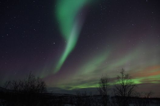 Northern Lights 4x4 Mini Bus EVENING TOUR — photo 8