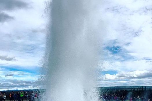 Golden Circle & Friðheimar Experience: Private Farm & Wonder Tour — photo 9