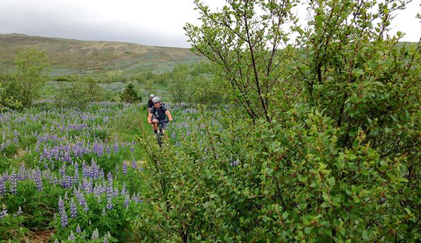 E-MTB DAYTOUR — photo 6