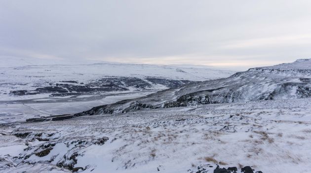 Wild Reindeer Experience — photo 4