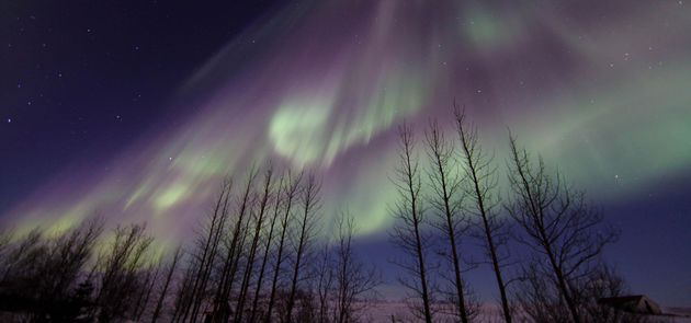 Northern Lights Bus Tour — photo 3