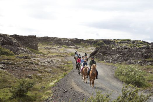 Horse Riding & Golden Circle — photo 13