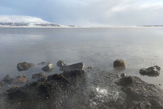 Golden Circle, Cook eggs in a hot spring, Shore Excursion — photo 2