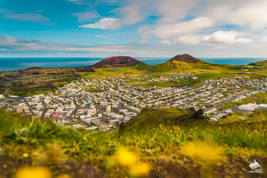 Vestmannaeyjar Day Tour — photo 17