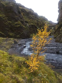 Private Þórsmörk Day Tour — photo 6