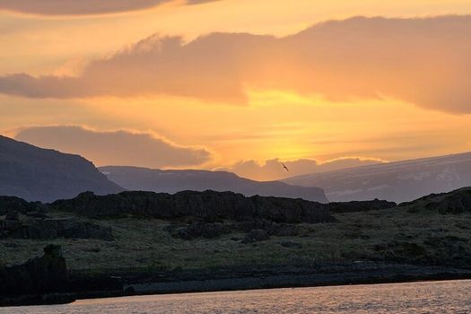 Sunset Boat tour in East Iceland — photo 5