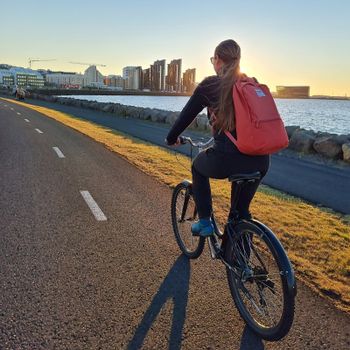 Reykjavik City Bike Rental — photo 3