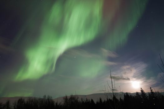 Package Deal: Godafoss Waterfall, Forest Lagoon, Christmas House with Northern Lights hunt — photo 8